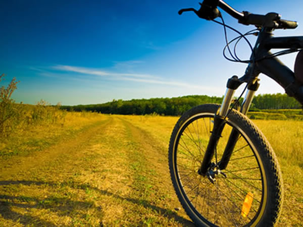 Cycling routes between Mantova and Verona: our Hotel is bike friendly